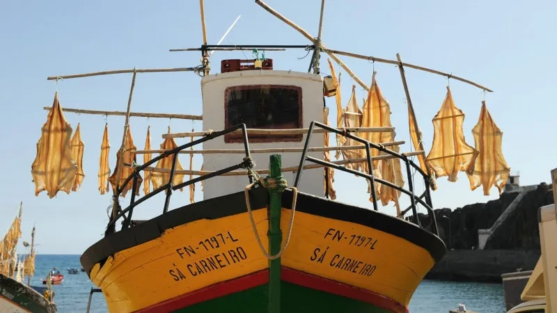Full Day Tour of Lisbon's Fishing Culture